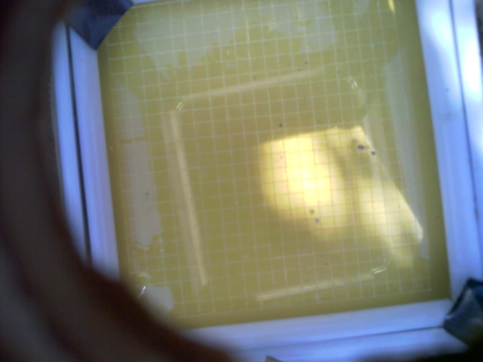 20260701_163112_UXGA_Q3.jpg