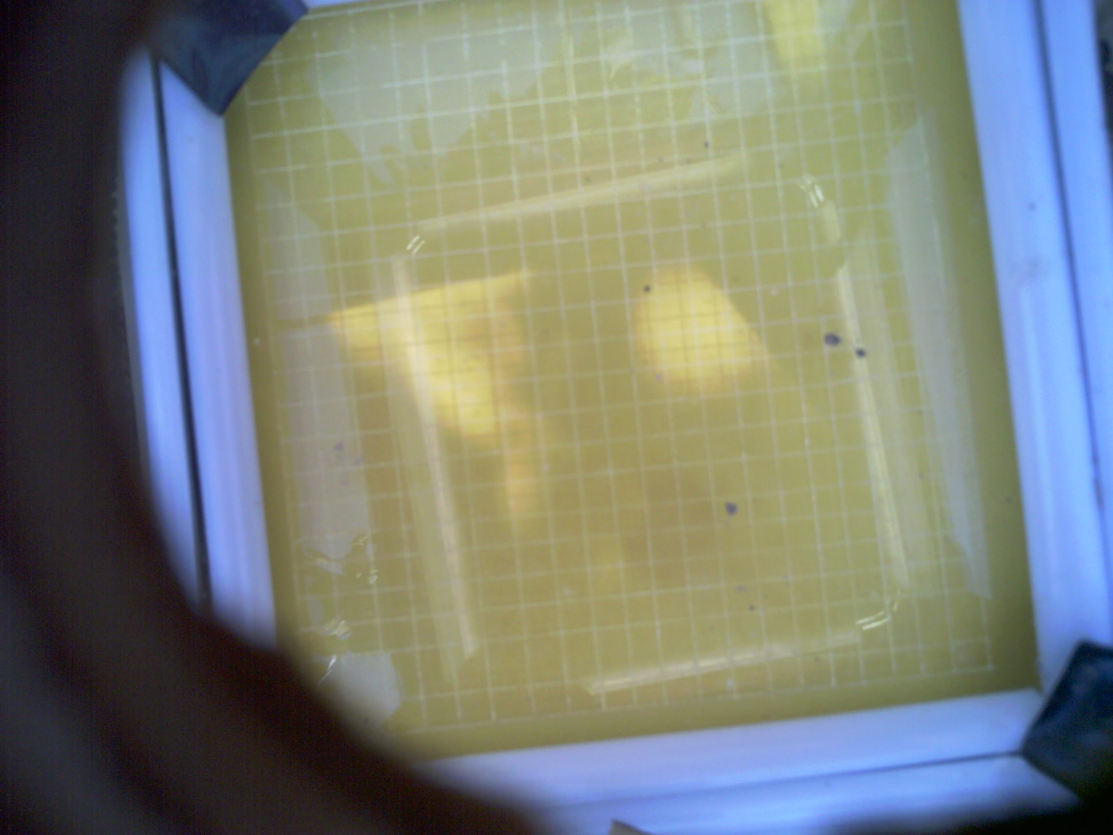 20260701_170205_UXGA_Q3.jpg