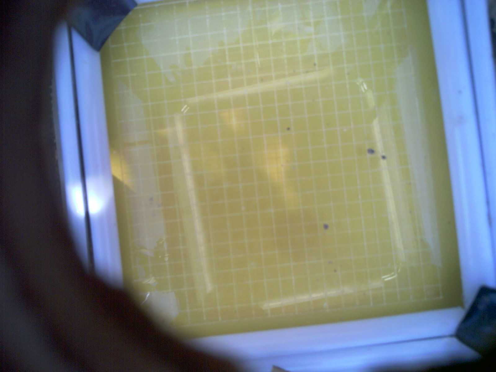 20260701_170952_UXGA_Q3.jpg