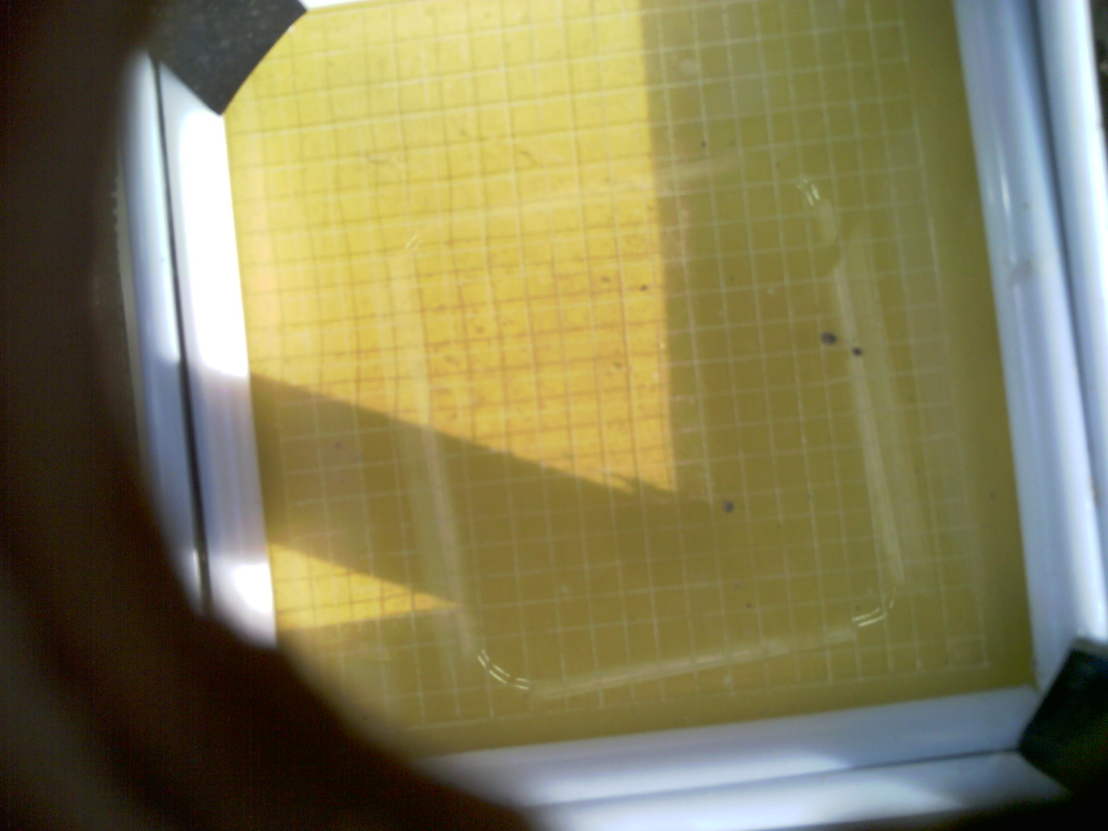 20260701_201537_UXGA_Q3.jpg