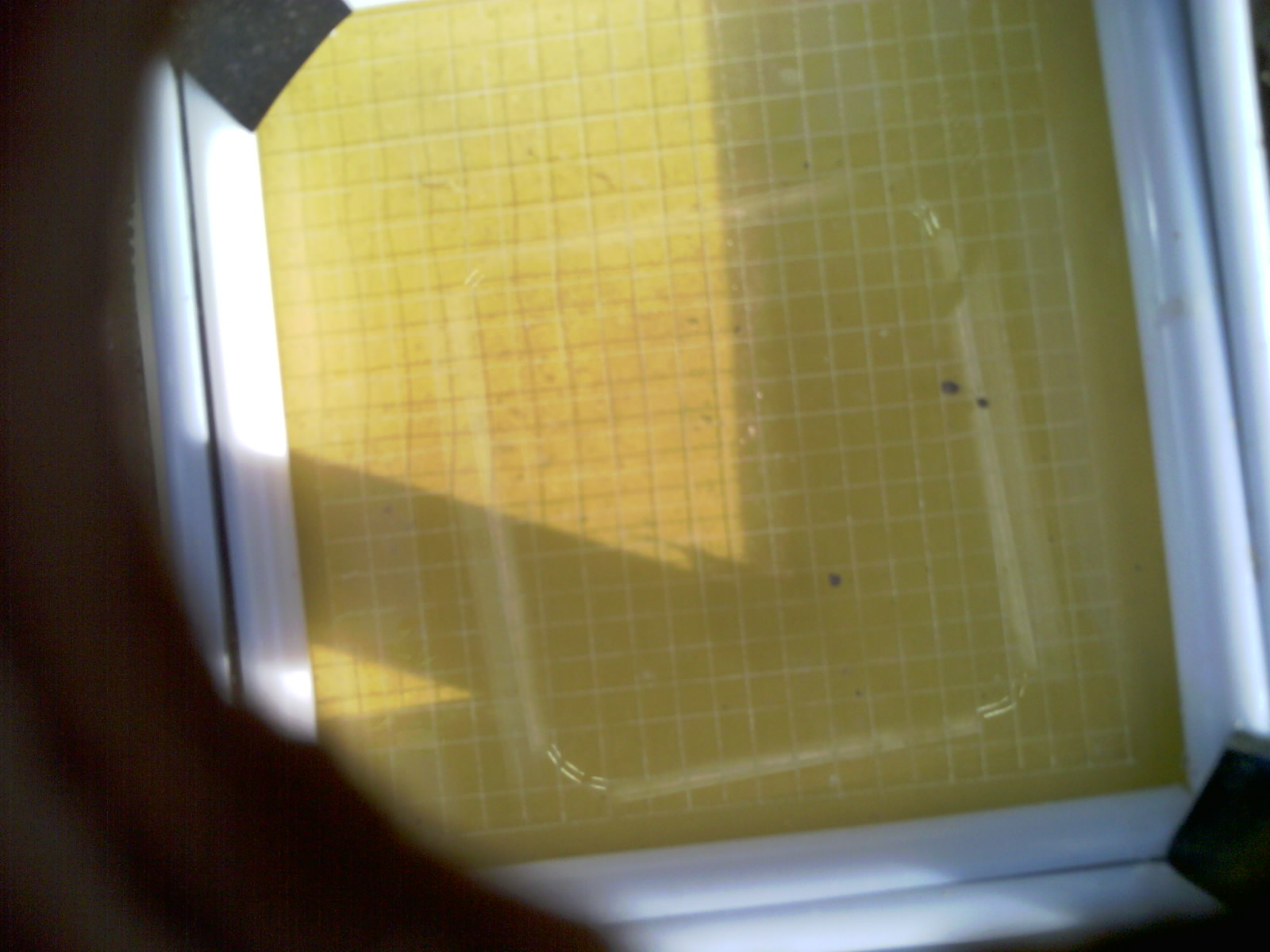 20260701_202435_UXGA_Q3.jpg