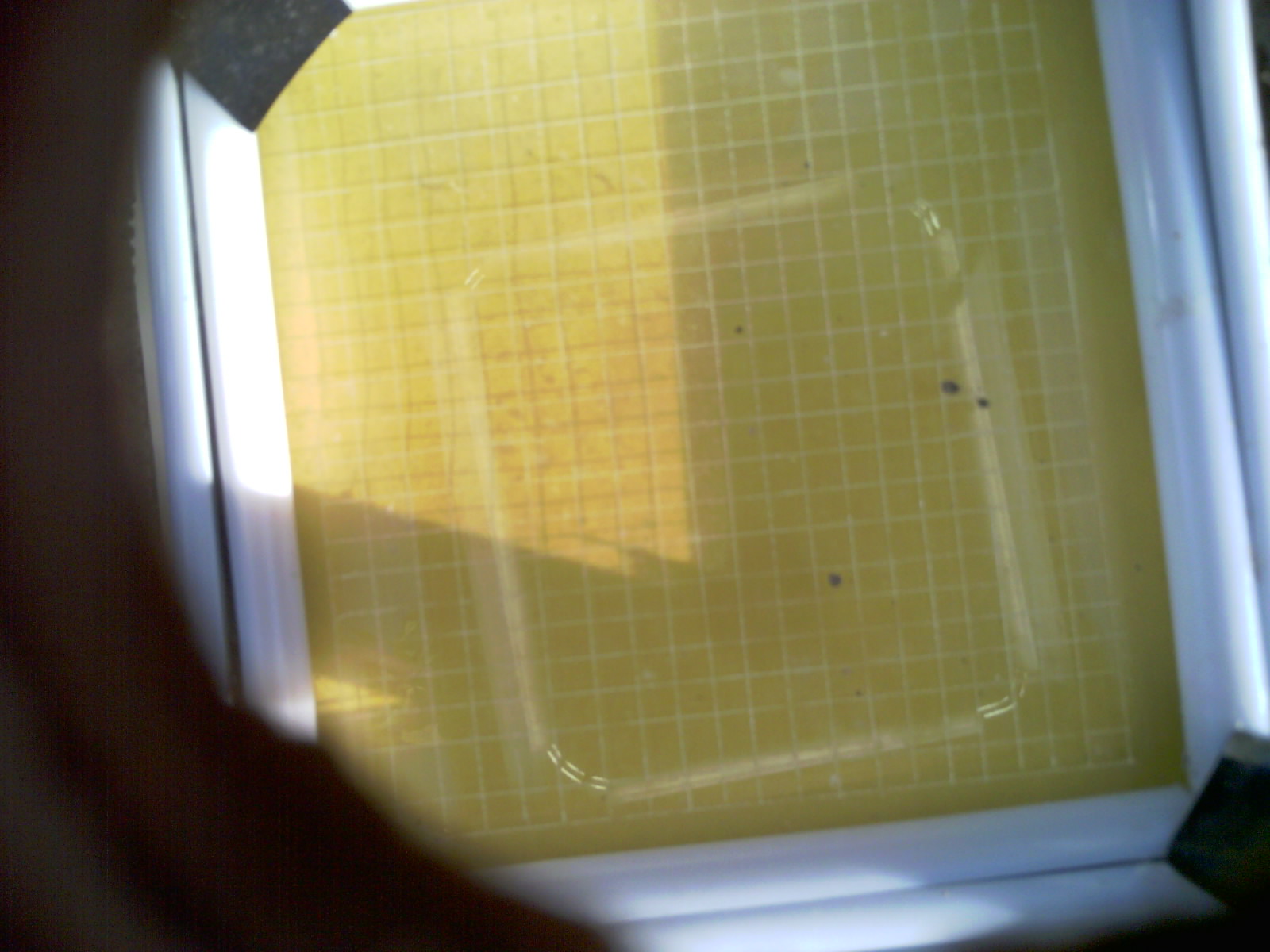 20260701_203226_UXGA_Q3.jpg