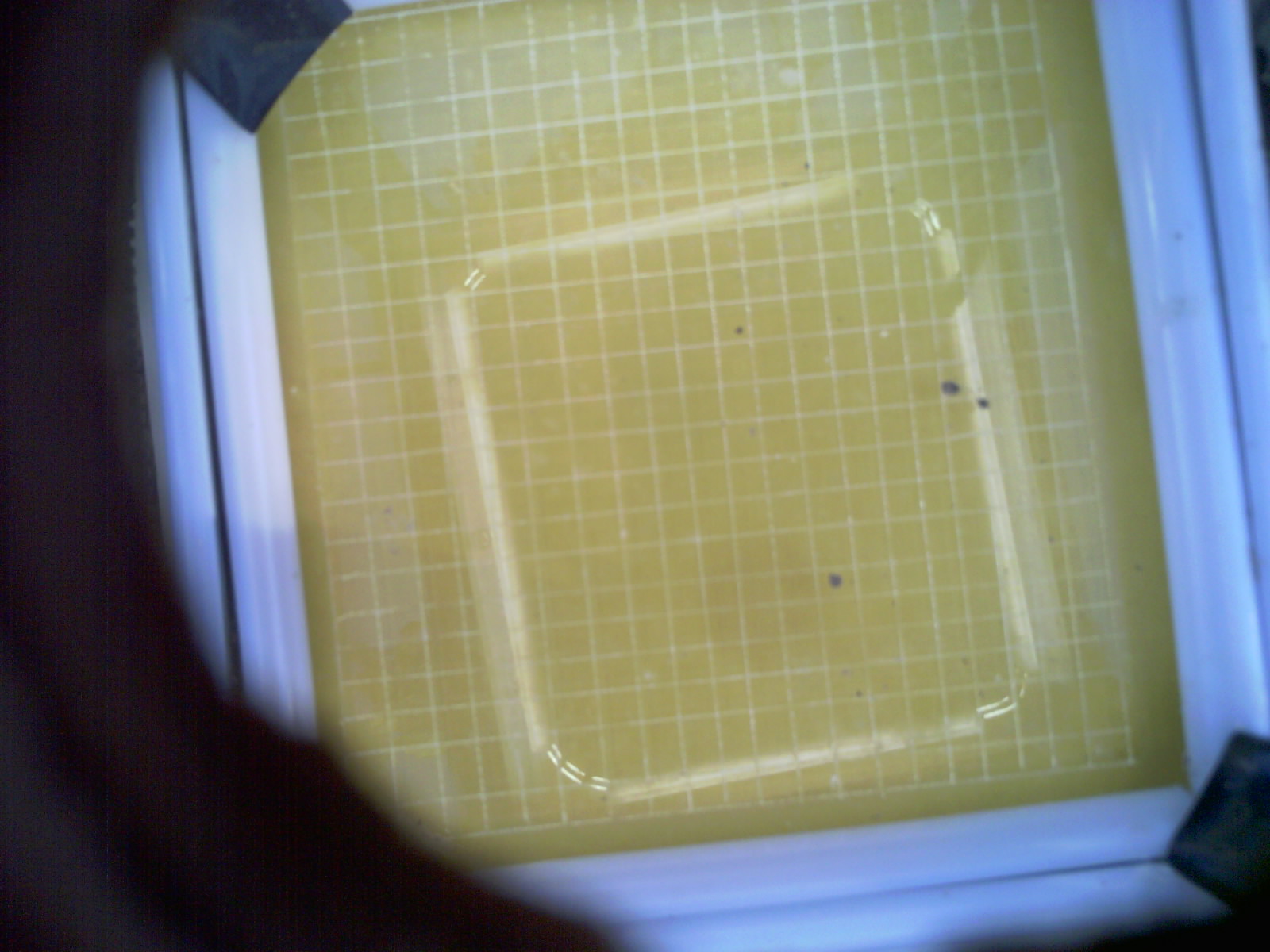 20260701_203801_UXGA_Q3.jpg