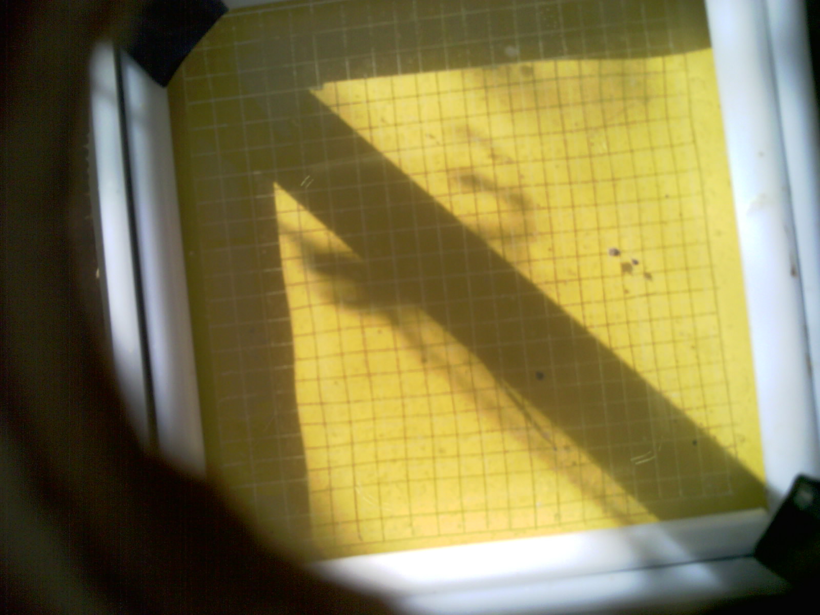 20260702_092030_UXGA_Q3.jpg