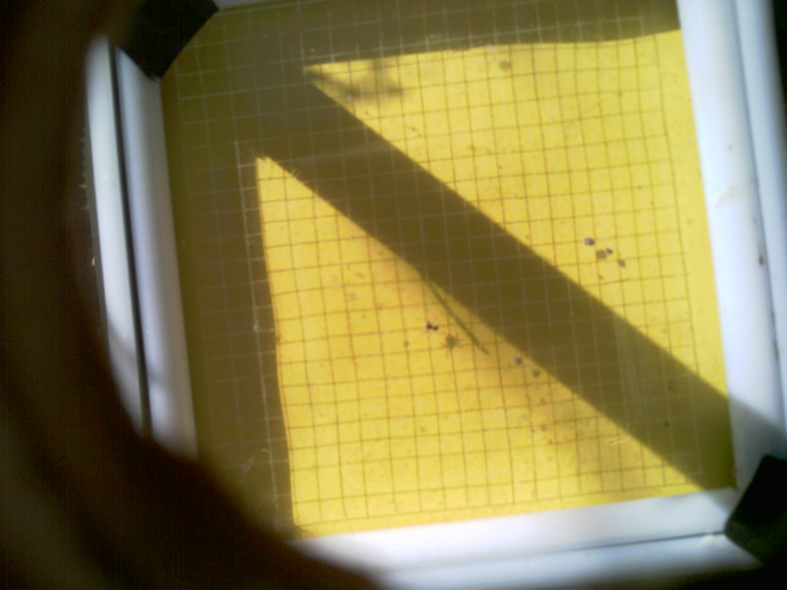 20260702_094322_UXGA_Q3.jpg