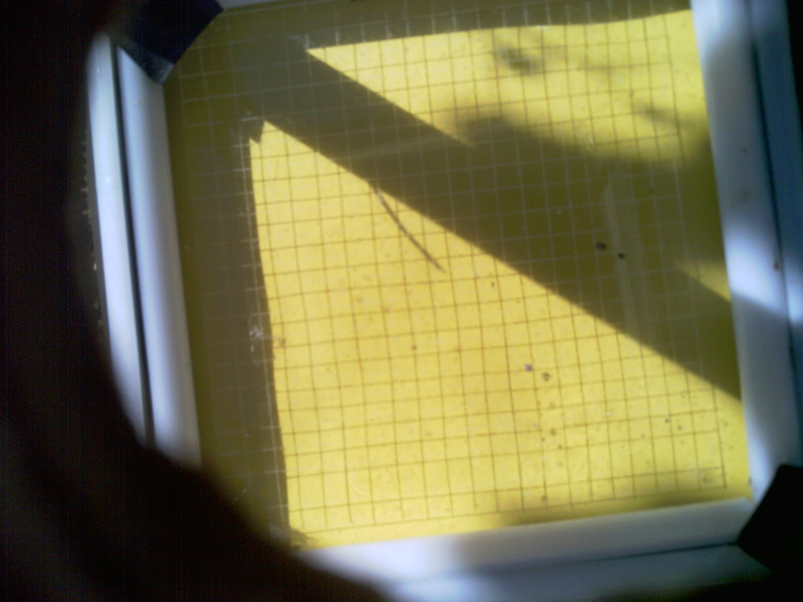 20260702_101748_UXGA_Q3.jpg