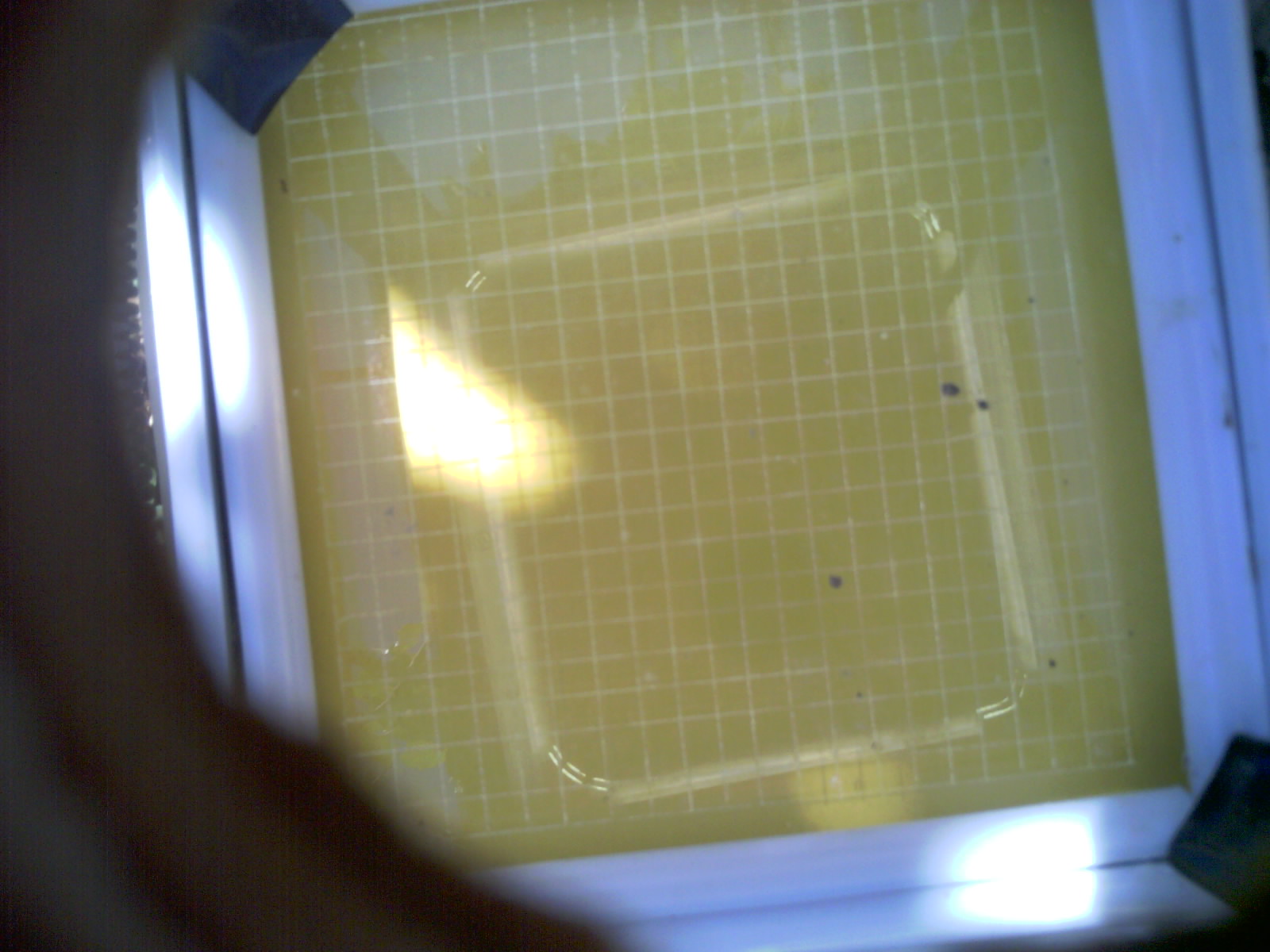 20260702_105445_UXGA_Q3.jpg