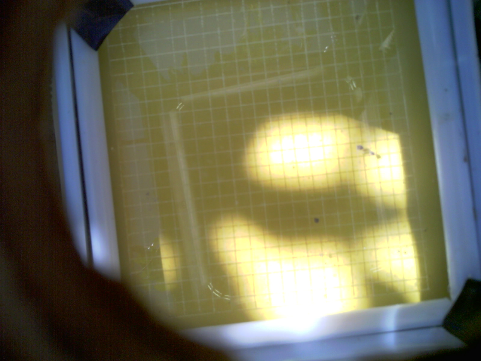 20260702_110813_UXGA_Q3.jpg