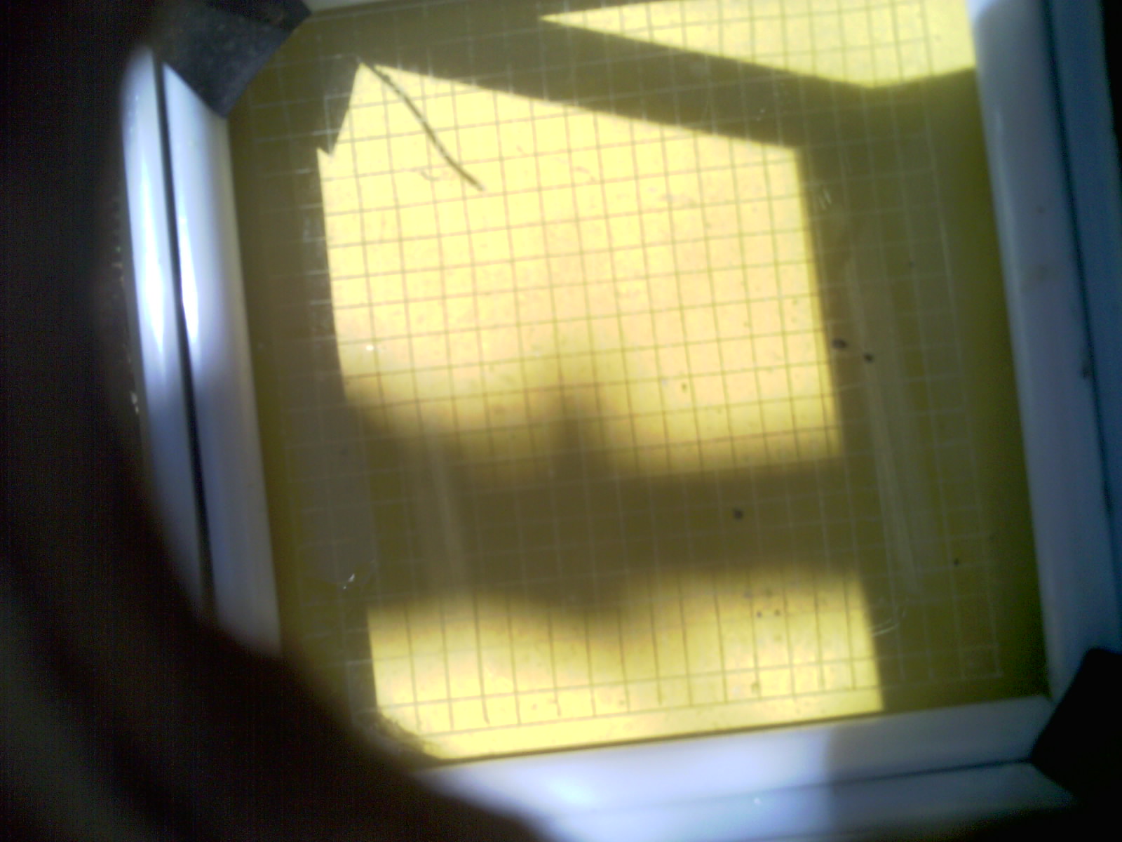 20260702_114409_UXGA_Q3.jpg