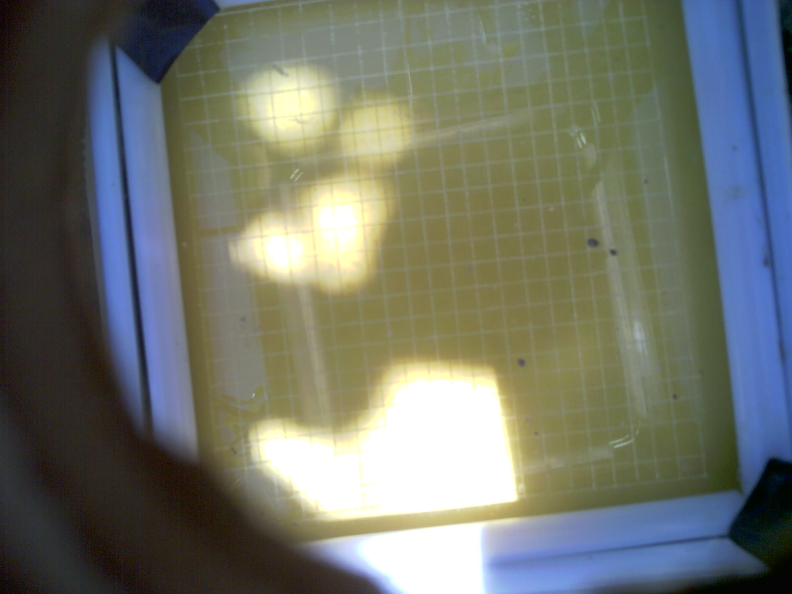 20260702_123928_UXGA_Q3.jpg