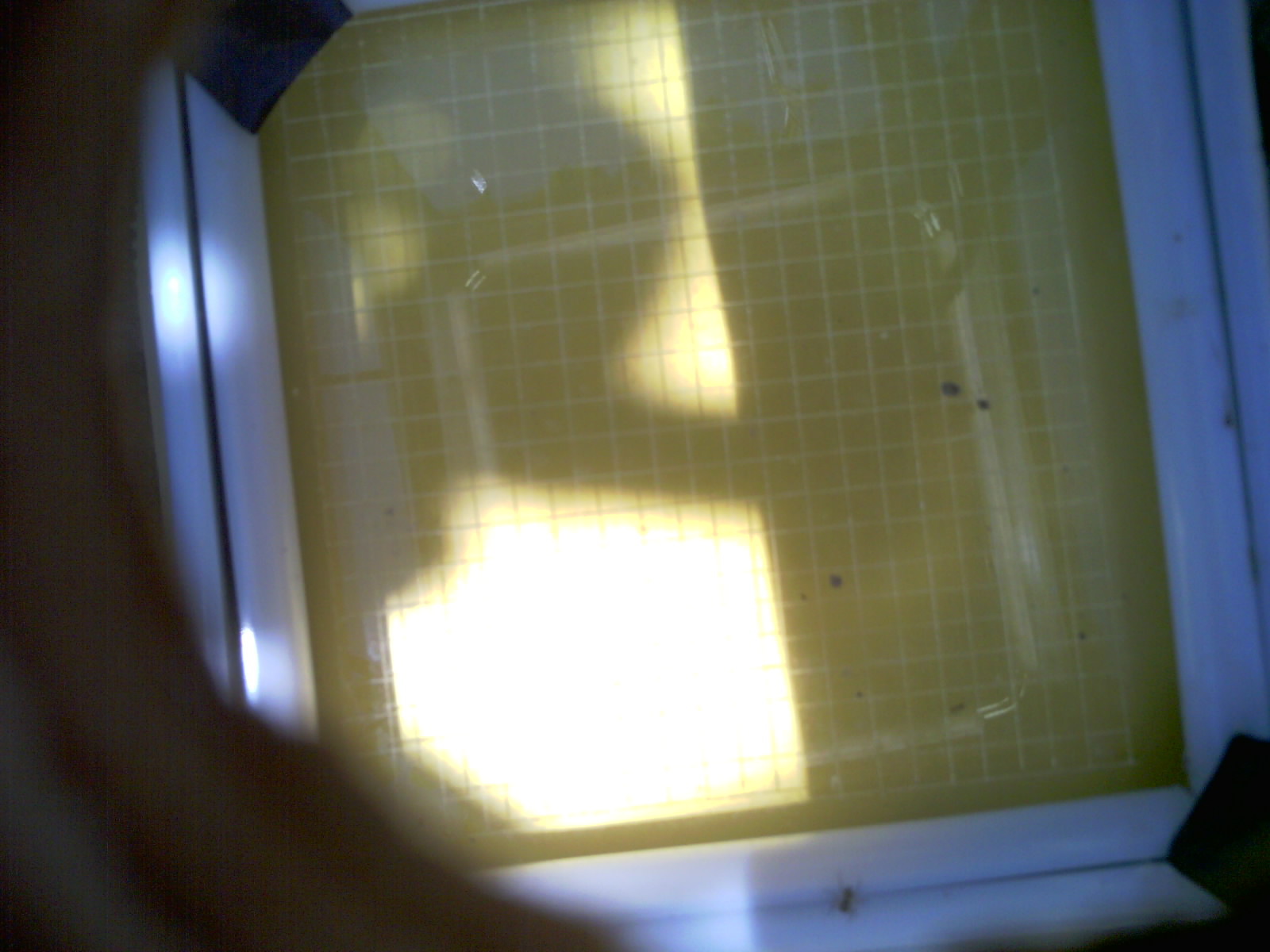 20260702_124705_UXGA_Q3.jpg