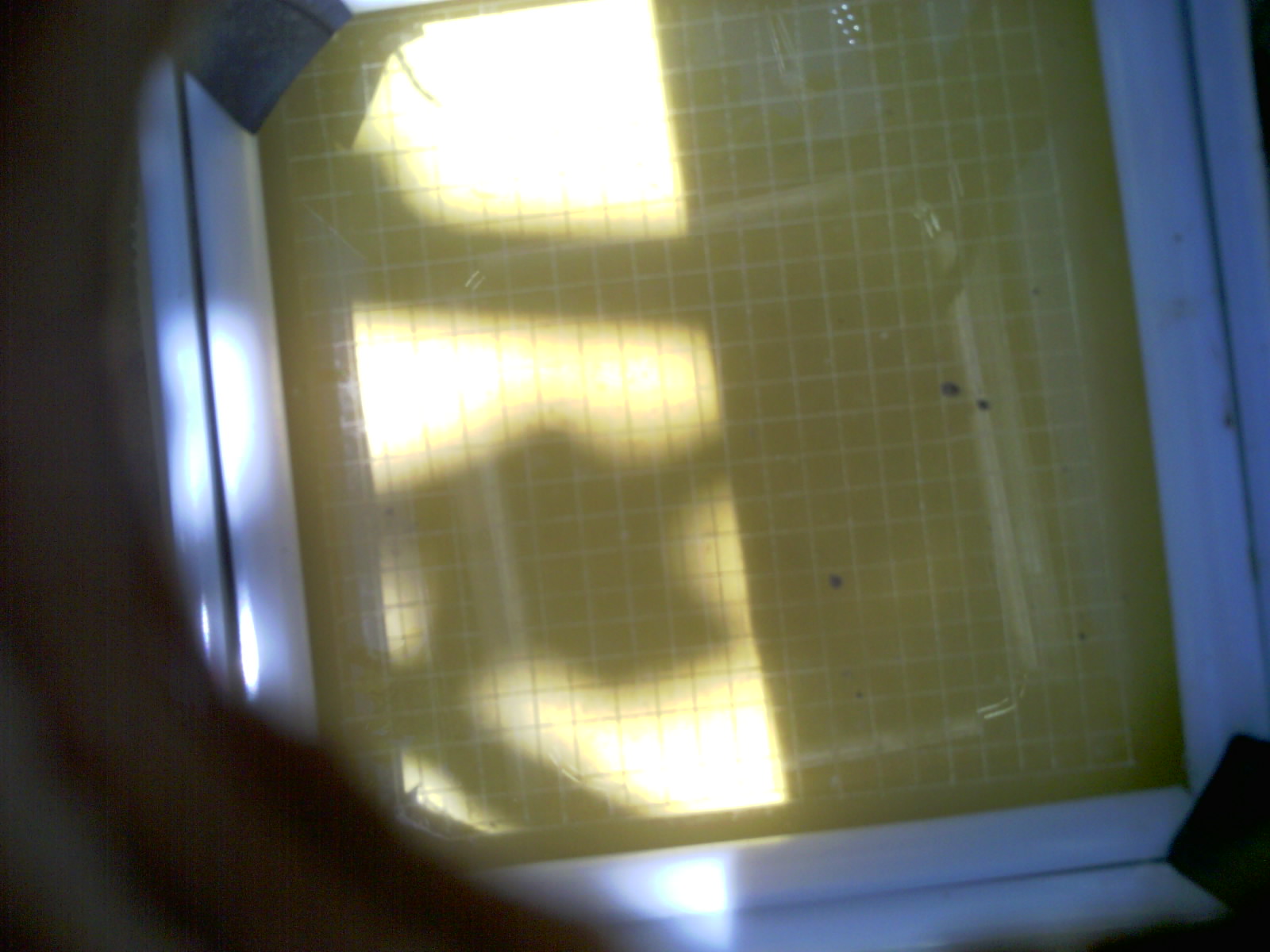 20260702_125354_UXGA_Q3.jpg