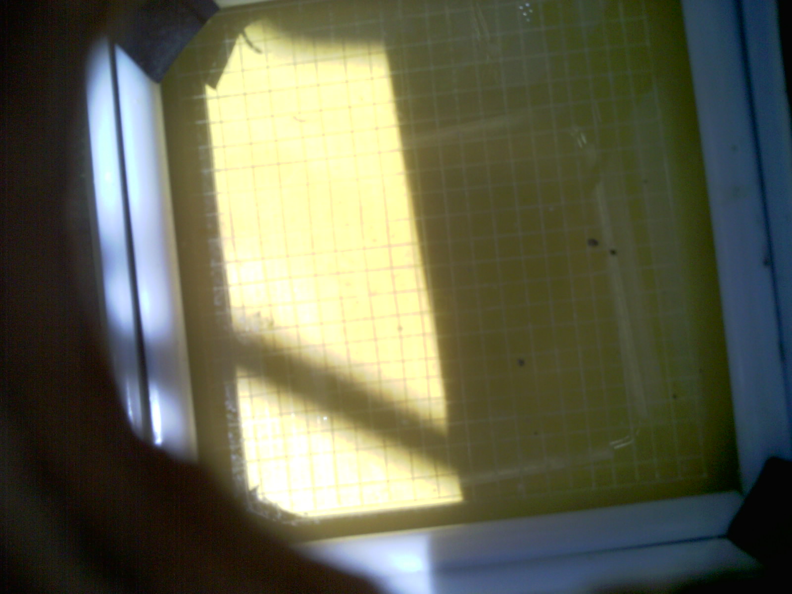 20260702_130648_UXGA_Q3.jpg