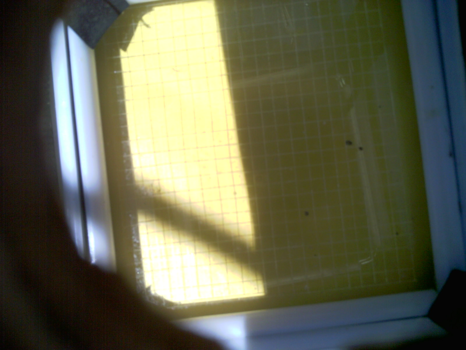20260702_131352_UXGA_Q3.jpg