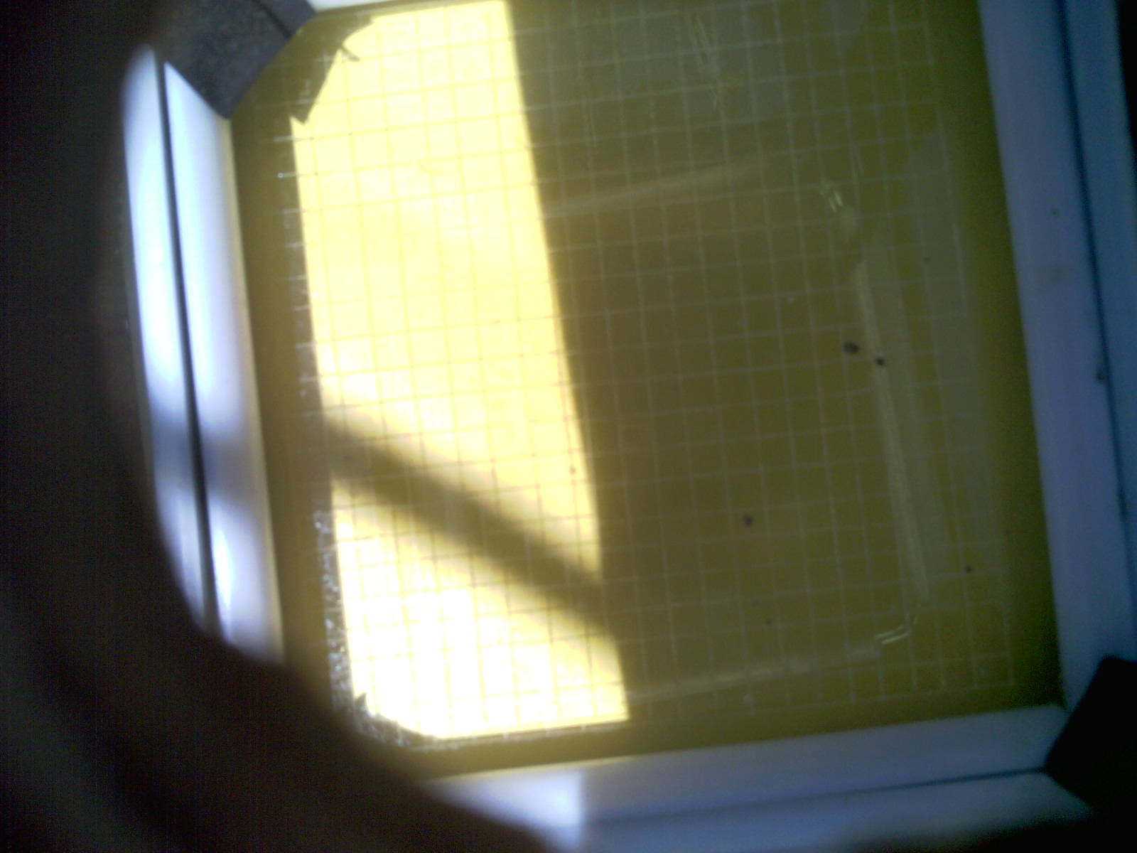 20260702_132046_UXGA_Q3.jpg