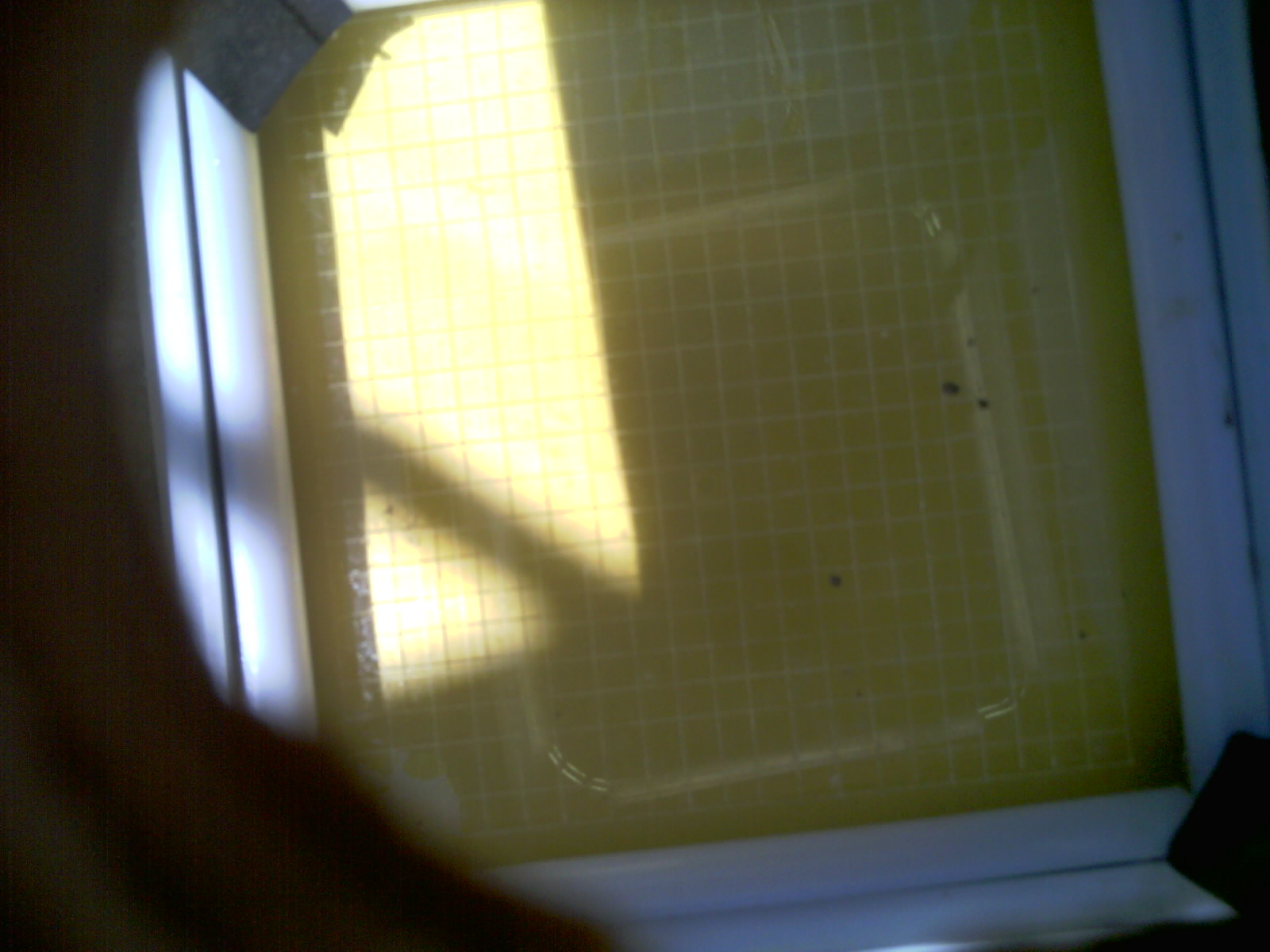 20260702_132936_UXGA_Q3.jpg