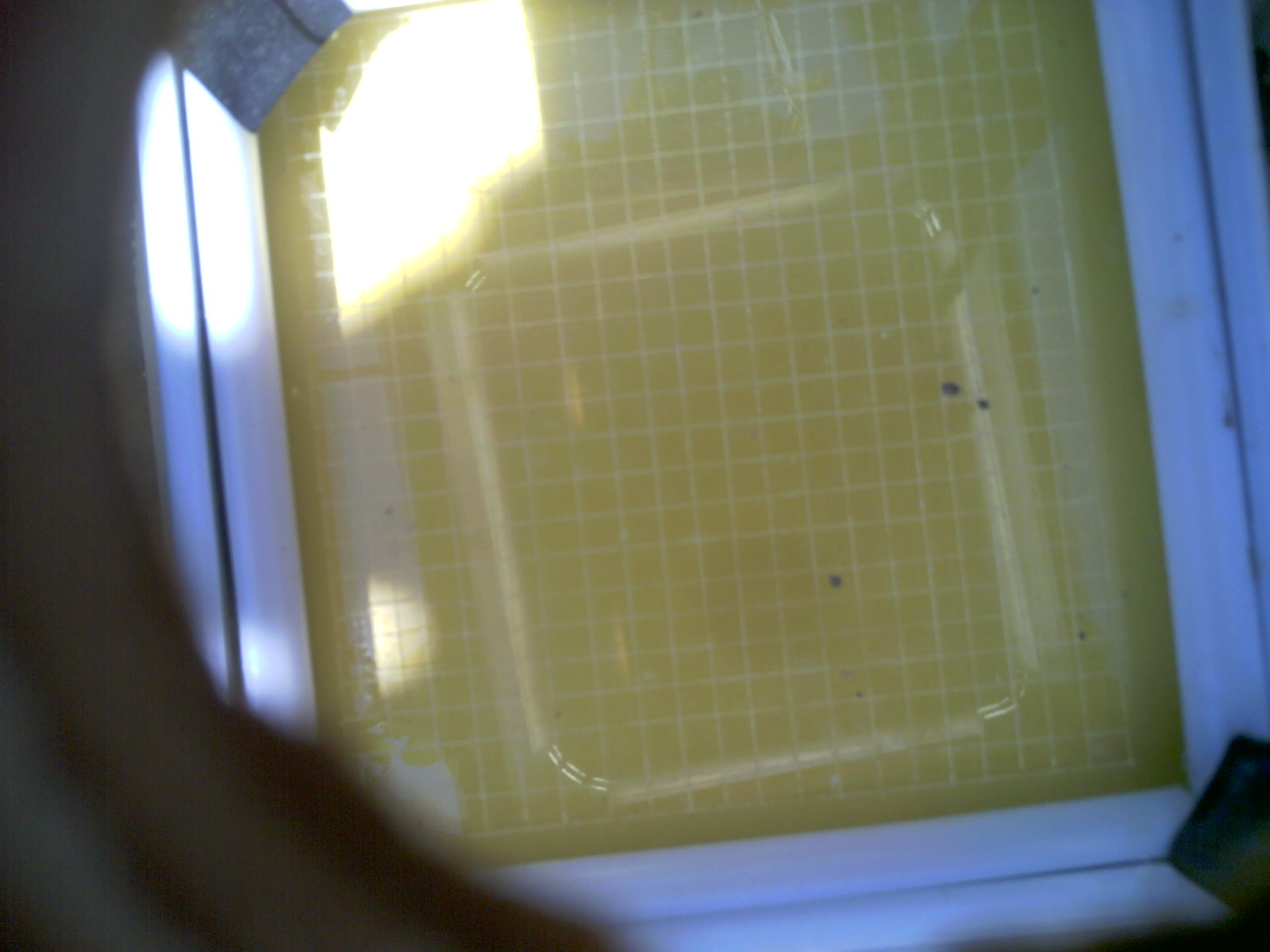 20260702_133527_UXGA_Q3.jpg