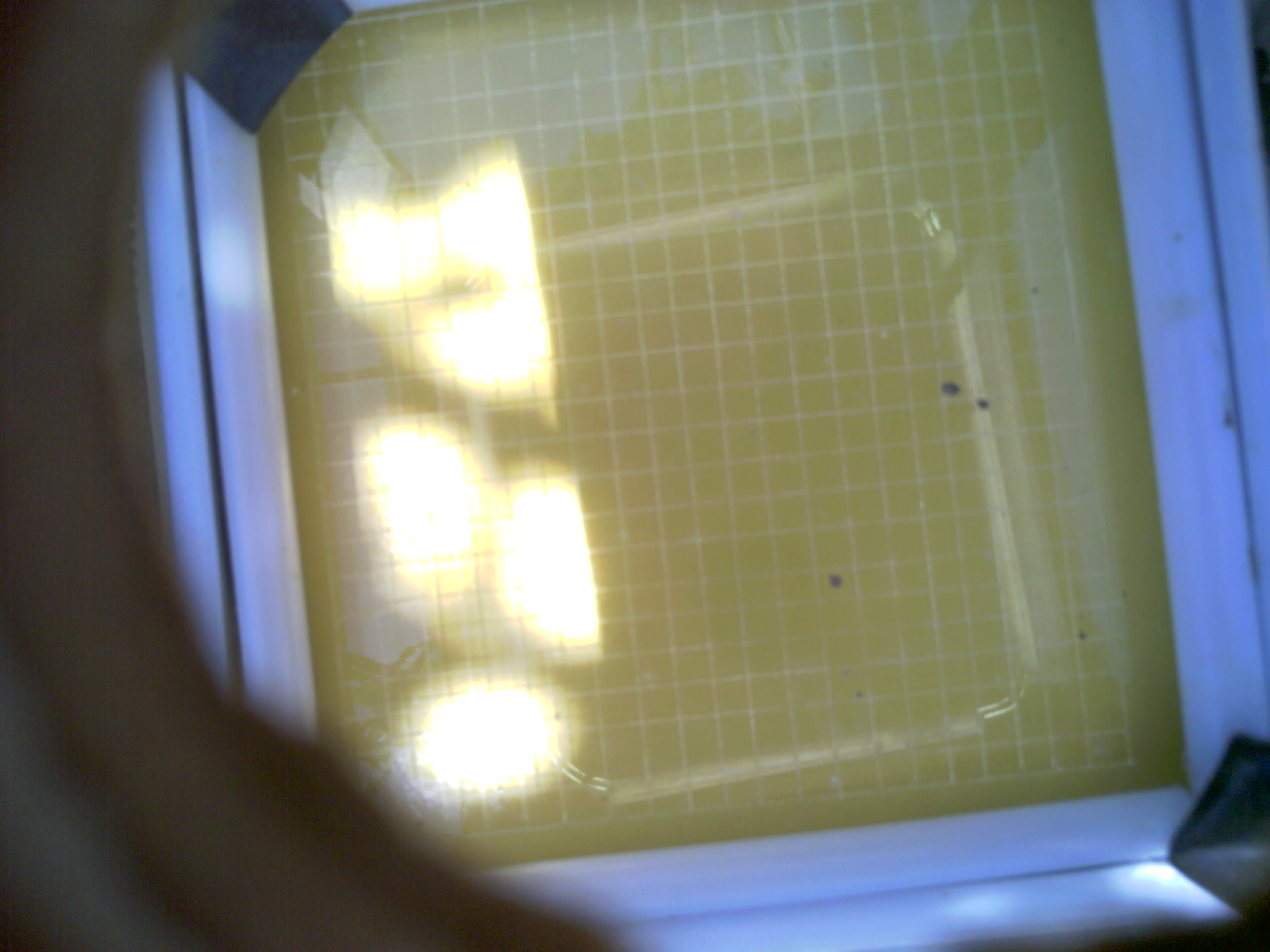 20260702_134118_UXGA_Q3.jpg