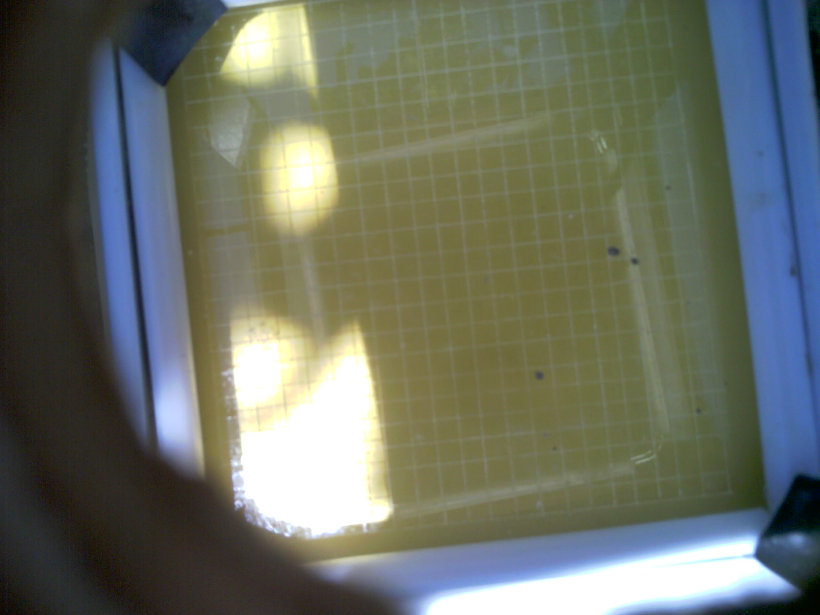 20260702_134708_UXGA_Q3.jpg