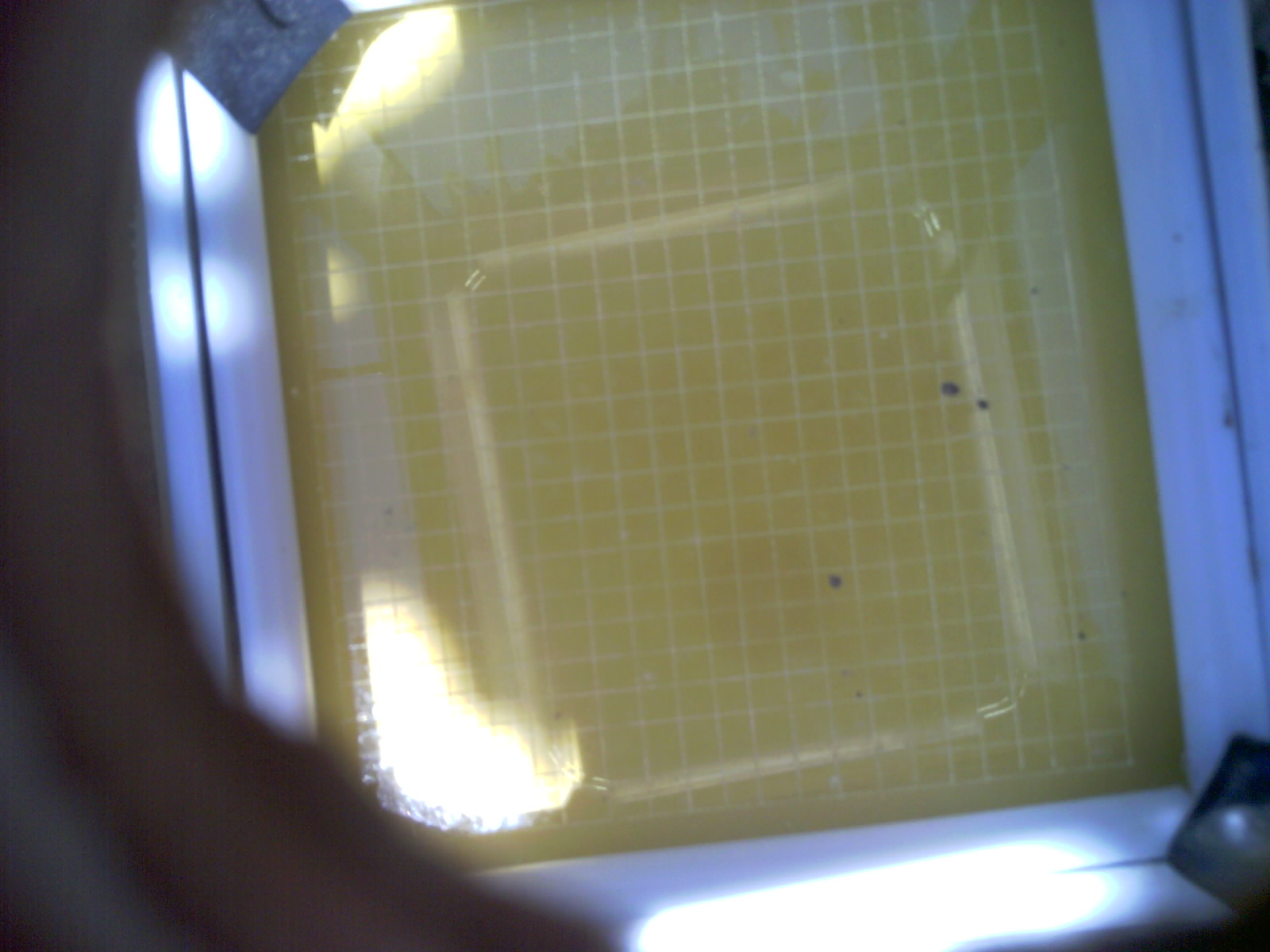20260702_135254_UXGA_Q3.jpg