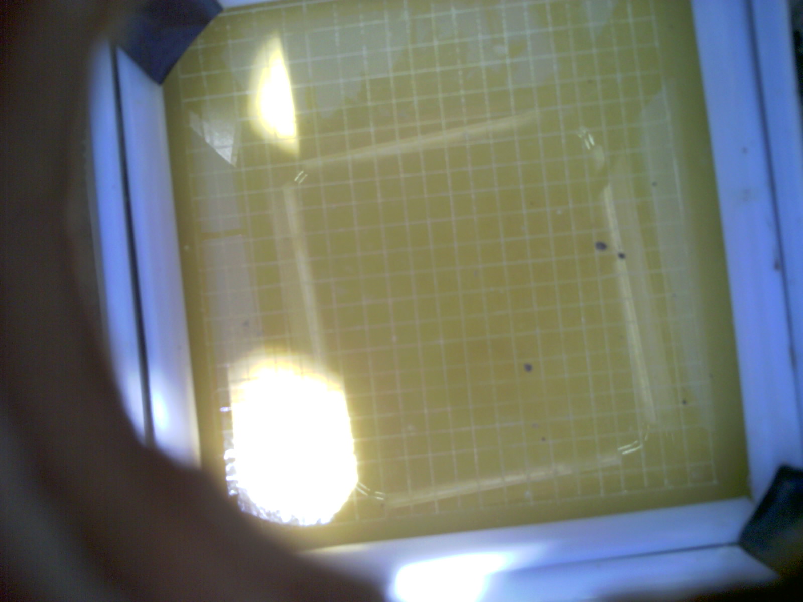 20260702_135839_UXGA_Q3.jpg
