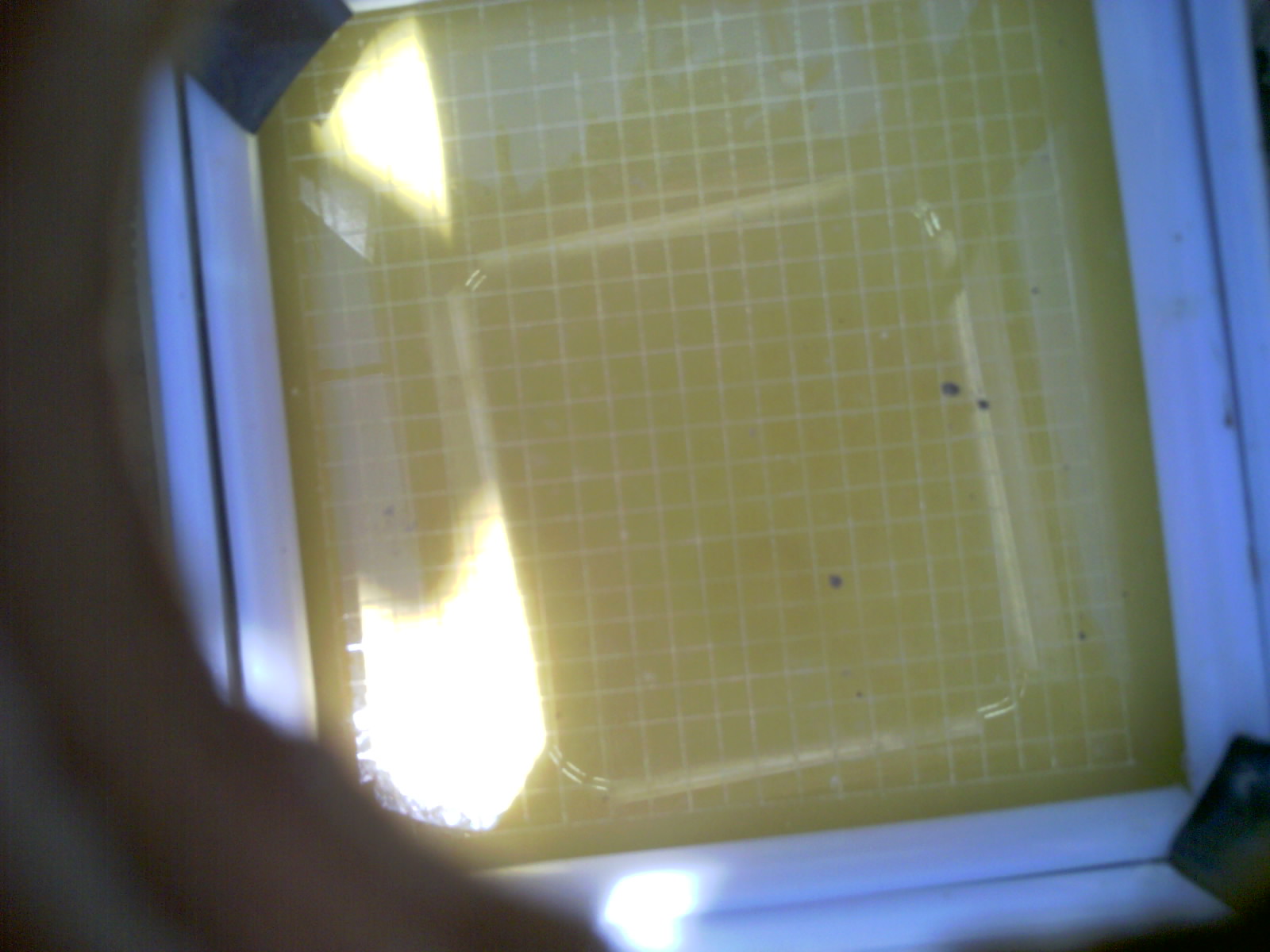 20260702_140424_UXGA_Q3.jpg