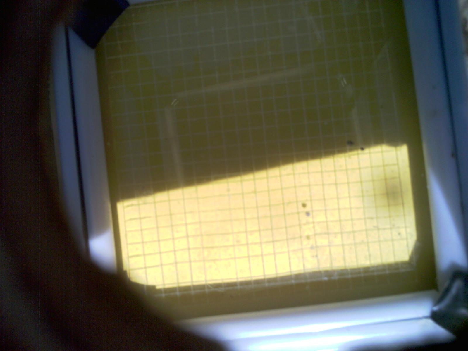 20260702_155638_UXGA_Q3.jpg
