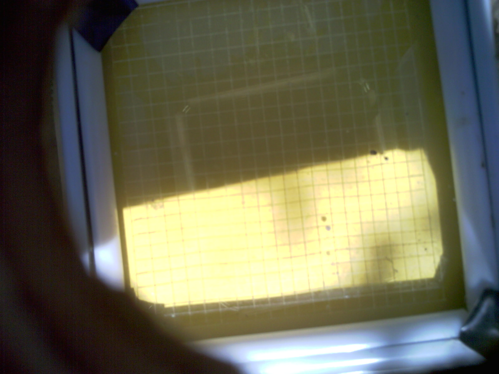 20260702_160333_UXGA_Q3.jpg