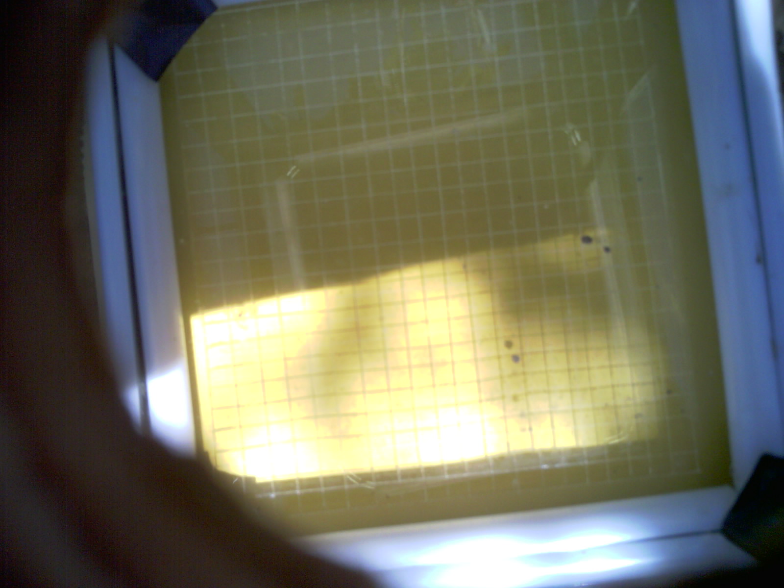 20260702_161138_UXGA_Q3.jpg