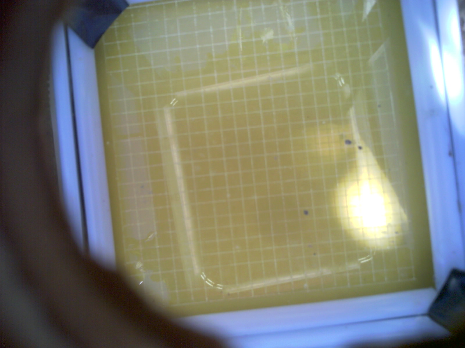 20260702_162508_UXGA_Q3.jpg