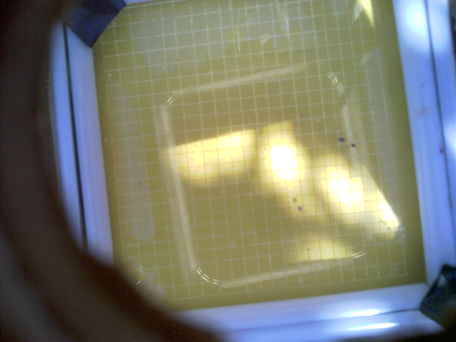 20260702_163050_UXGA_Q3.jpg