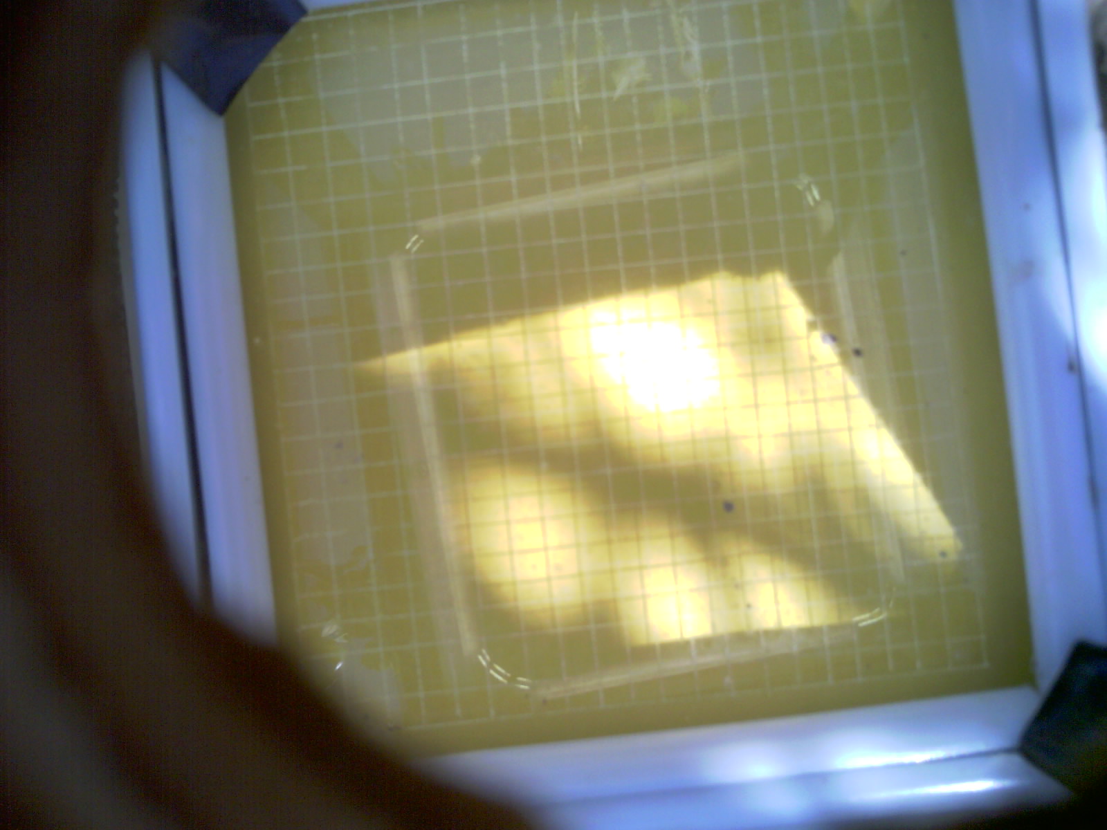 20260702_163633_UXGA_Q3.jpg