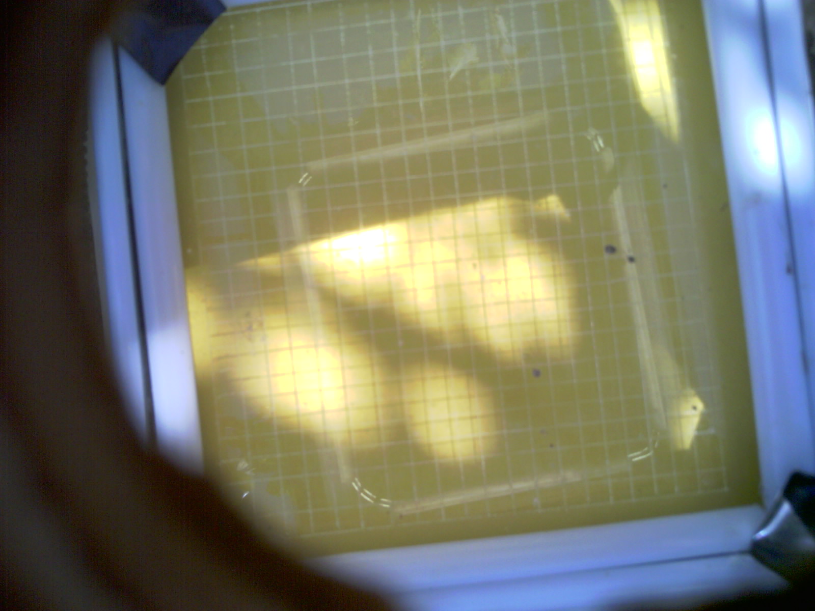 20260702_164218_UXGA_Q3.jpg
