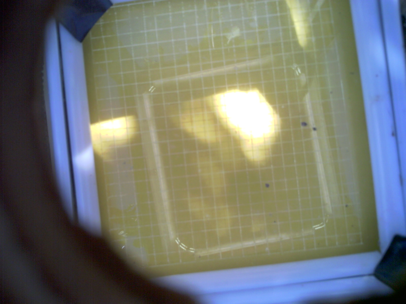 20260702_165422_UXGA_Q3.jpg