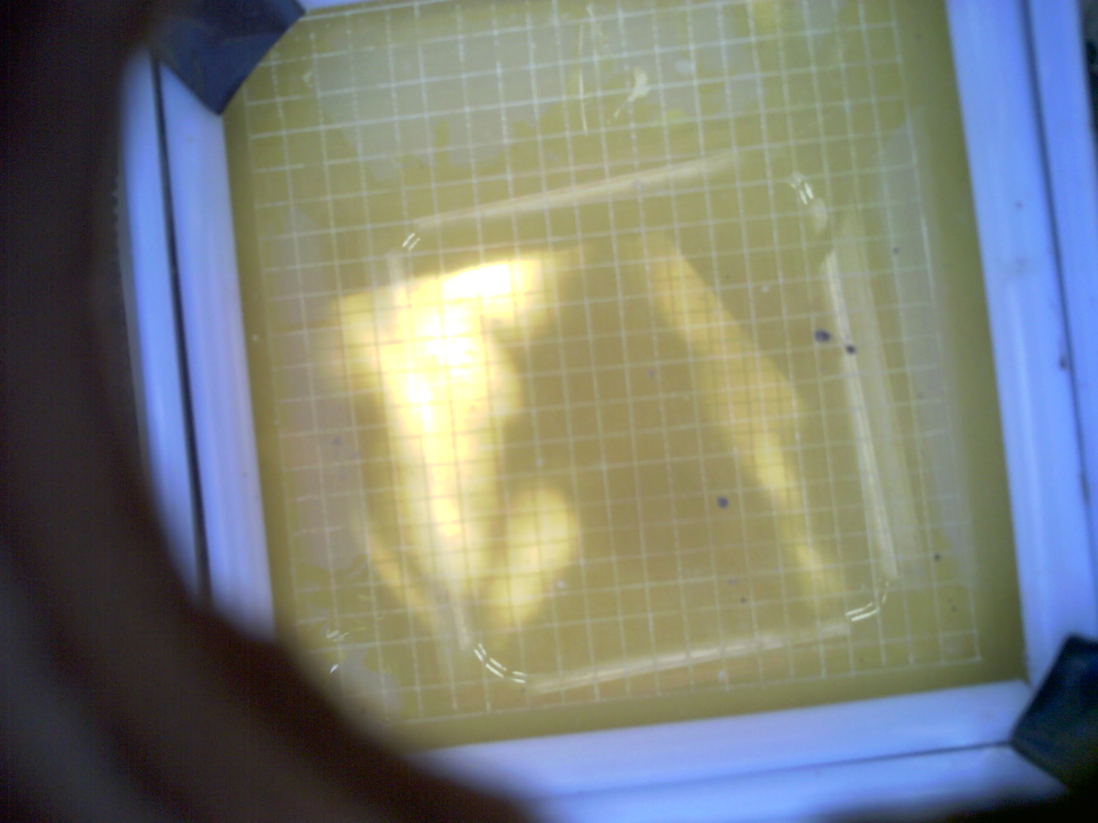 20260702_170023_UXGA_Q3.jpg