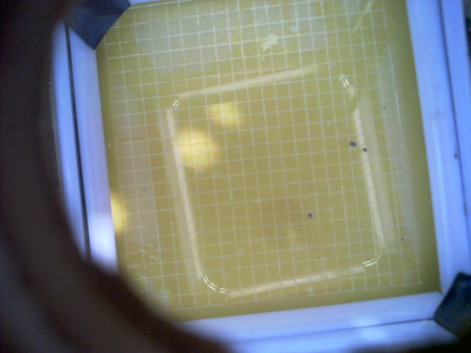 20260702_170624_UXGA_Q3.jpg