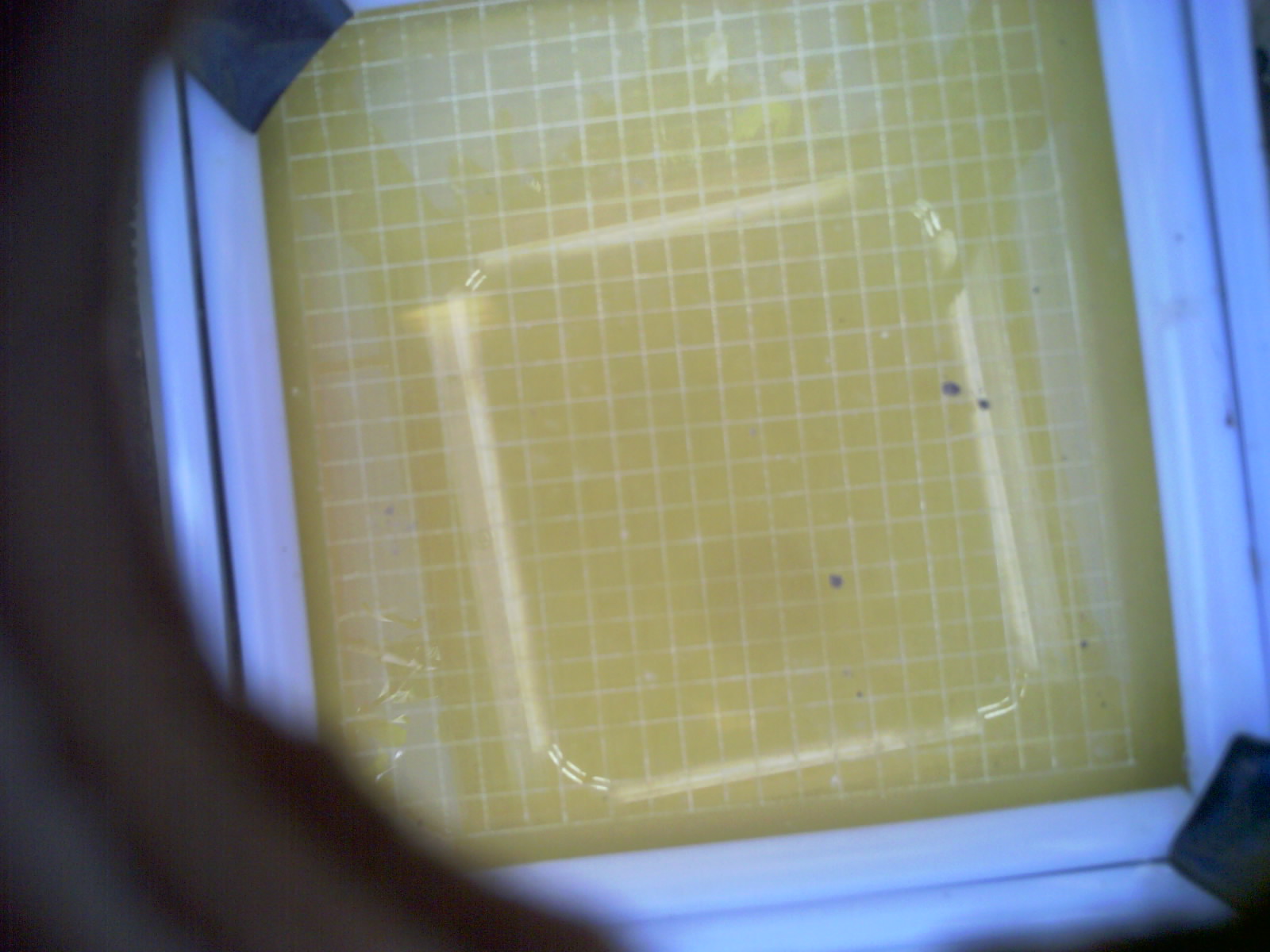 20260702_171238_UXGA_Q3.jpg