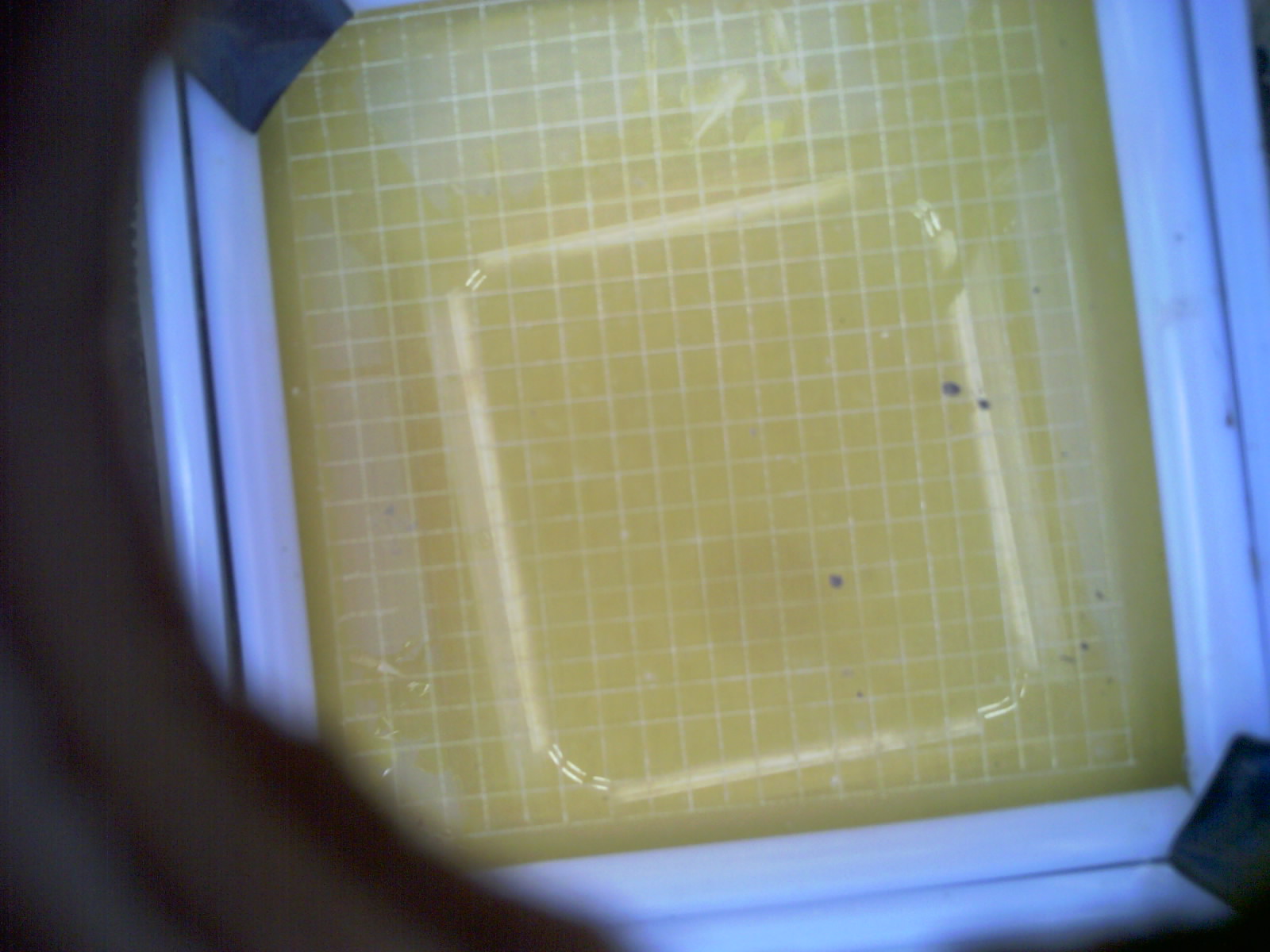 20260702_173757_UXGA_Q3.jpg