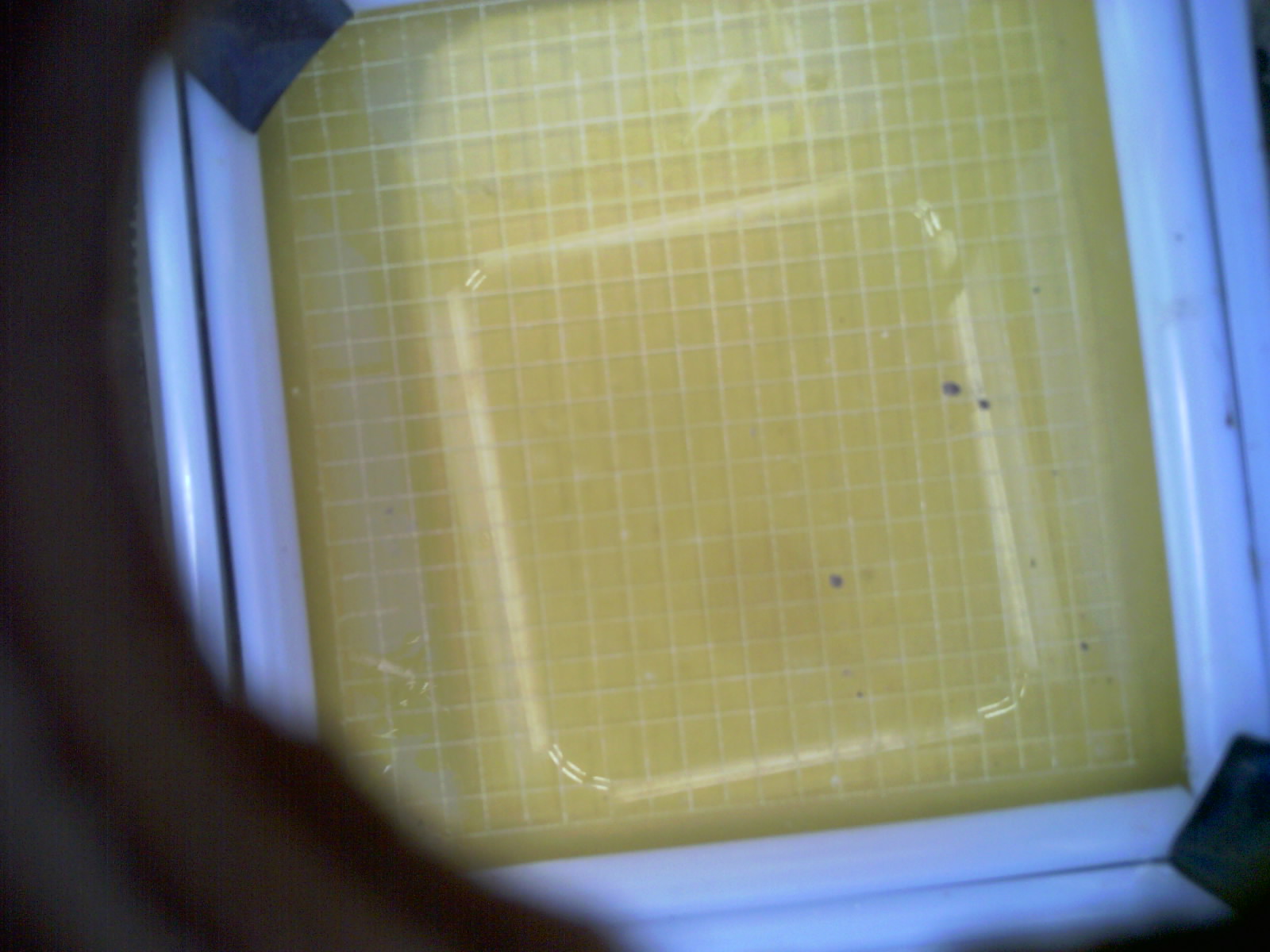 20260702_175700_UXGA_Q3.jpg