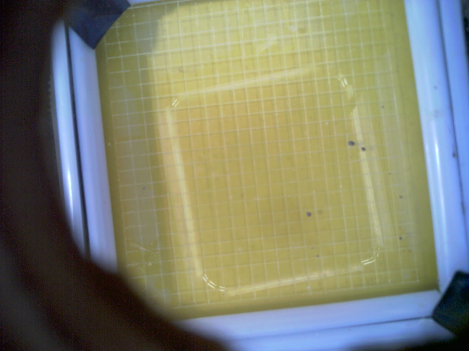20260702_180649_UXGA_Q3.jpg