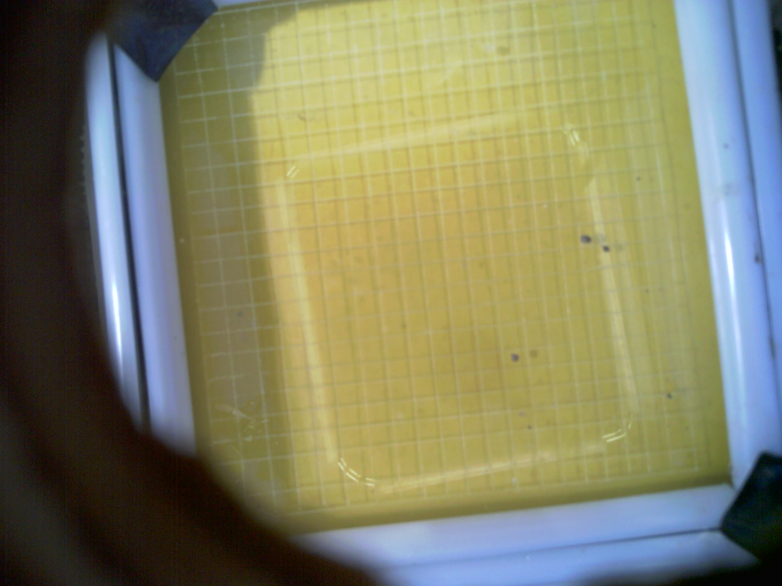 20260702_181543_UXGA_Q3.jpg