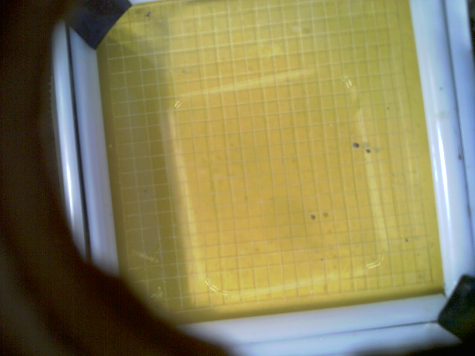 20260702_185049_UXGA_Q3.jpg