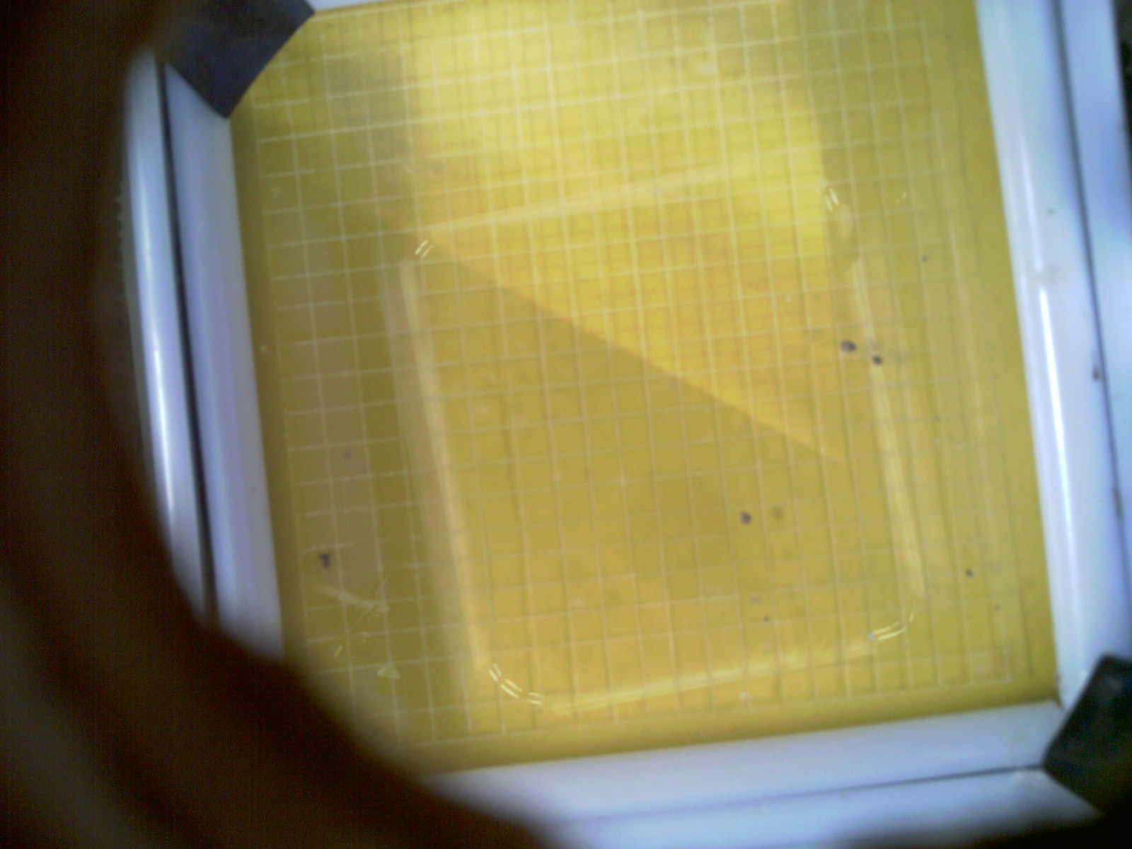 20260702_190326_UXGA_Q3.jpg