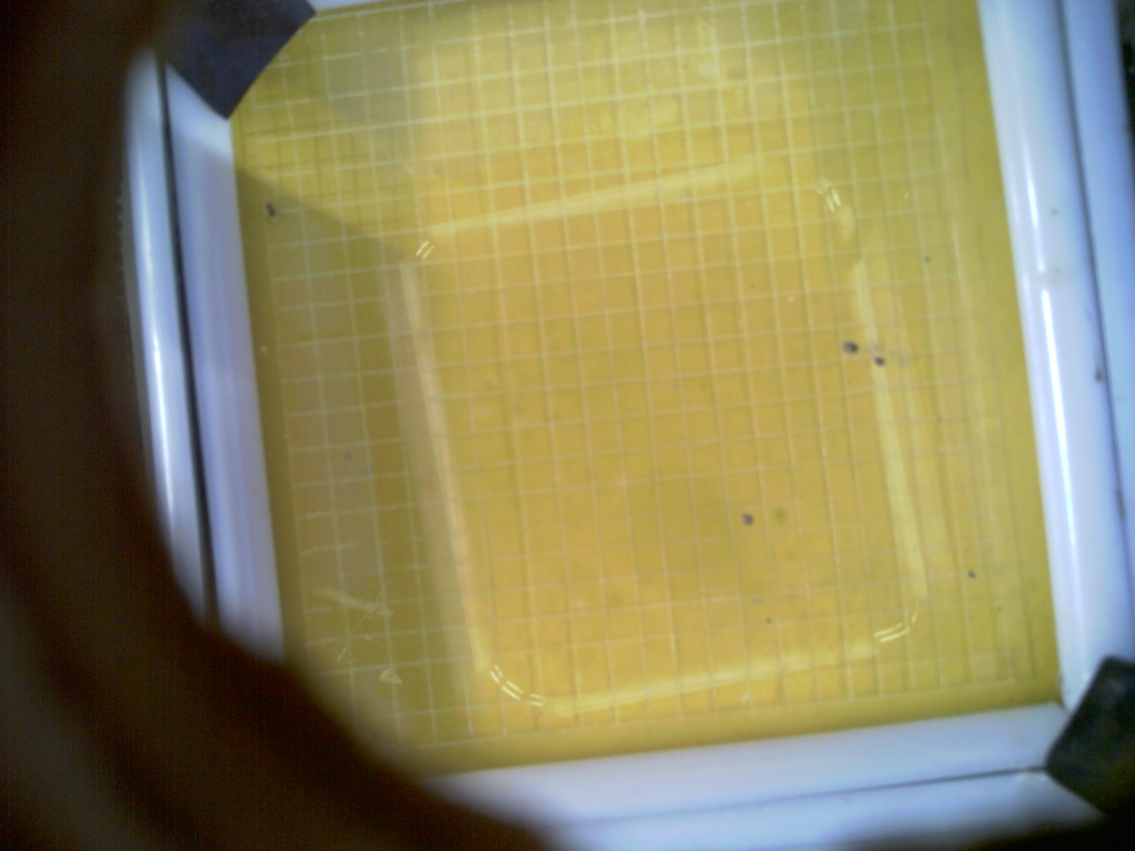 20260702_190954_UXGA_Q3.jpg