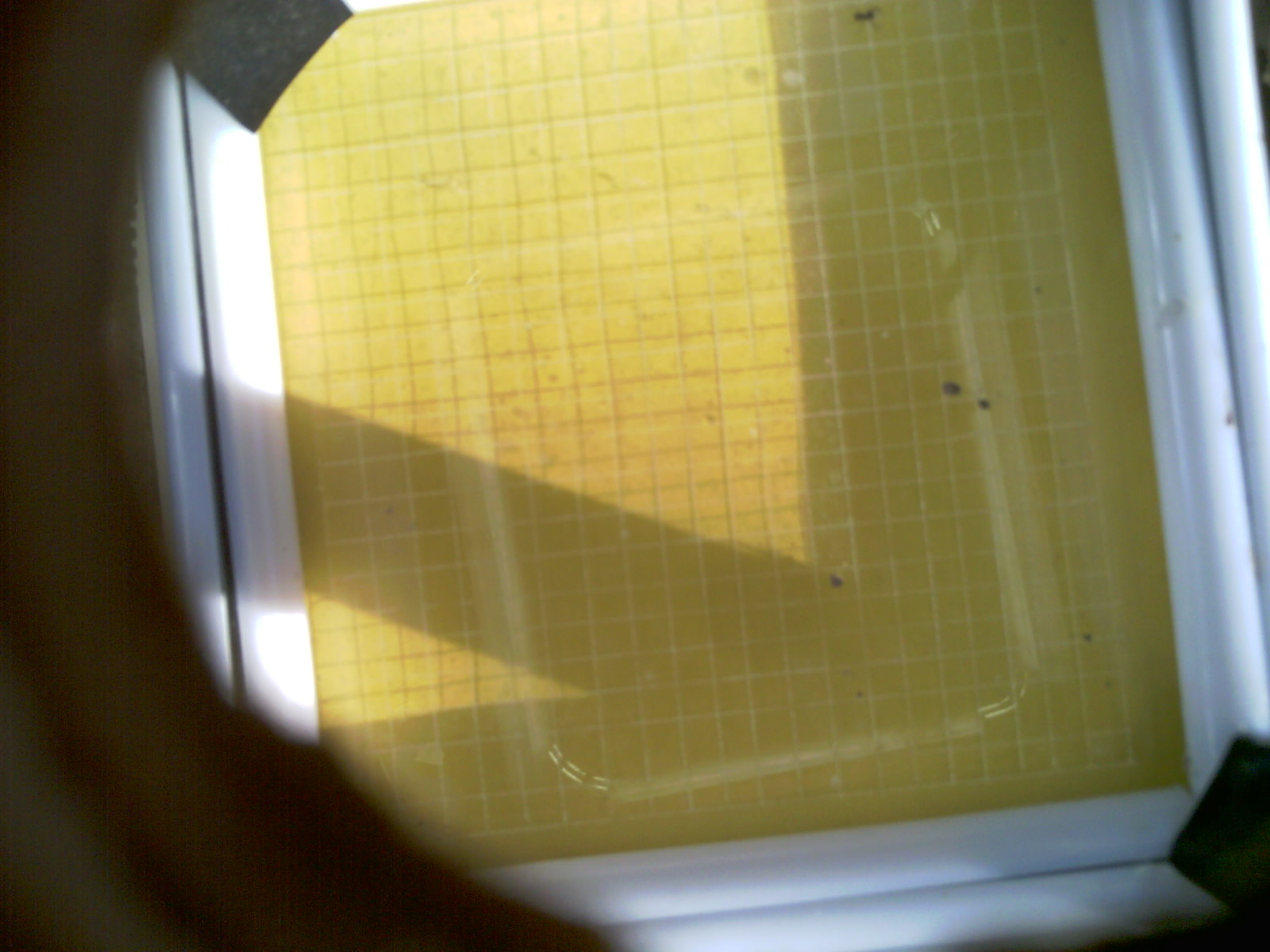 20260702_200547_UXGA_Q3.jpg