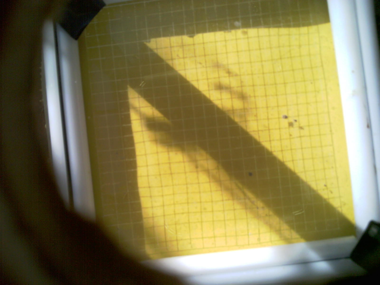 20260703_091745_UXGA_Q3.jpg