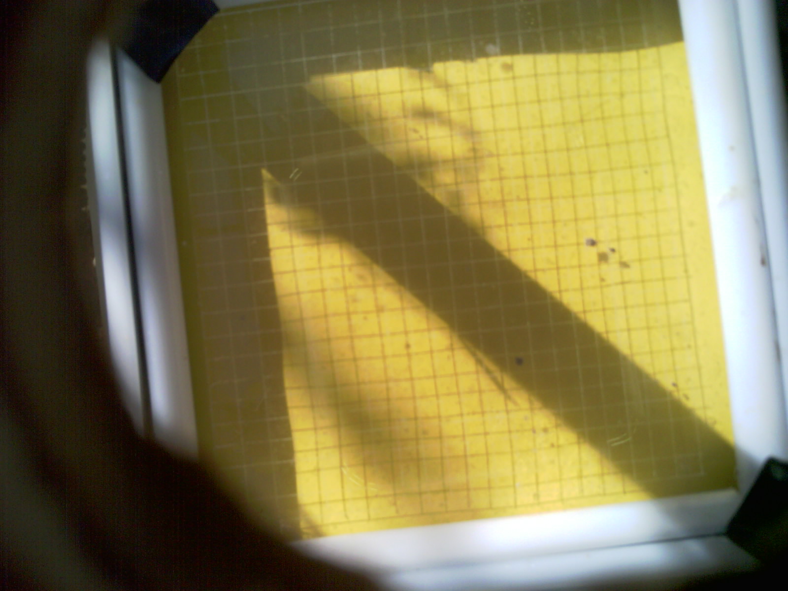 20260703_092334_UXGA_Q3.jpg