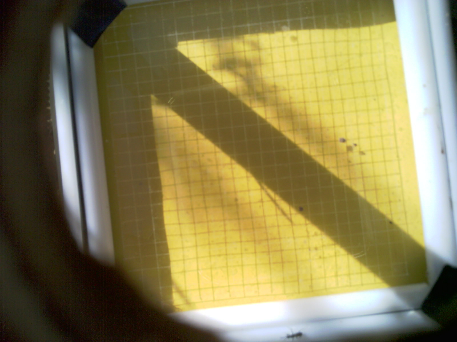 20260703_092928_UXGA_Q3.jpg