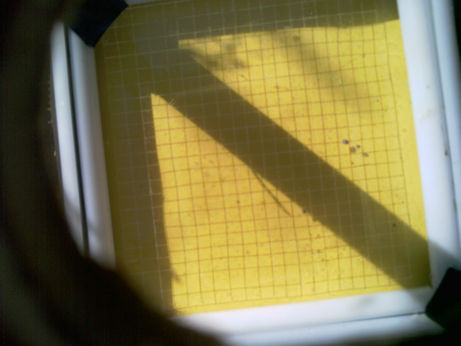 20260703_093616_UXGA_Q3.jpg
