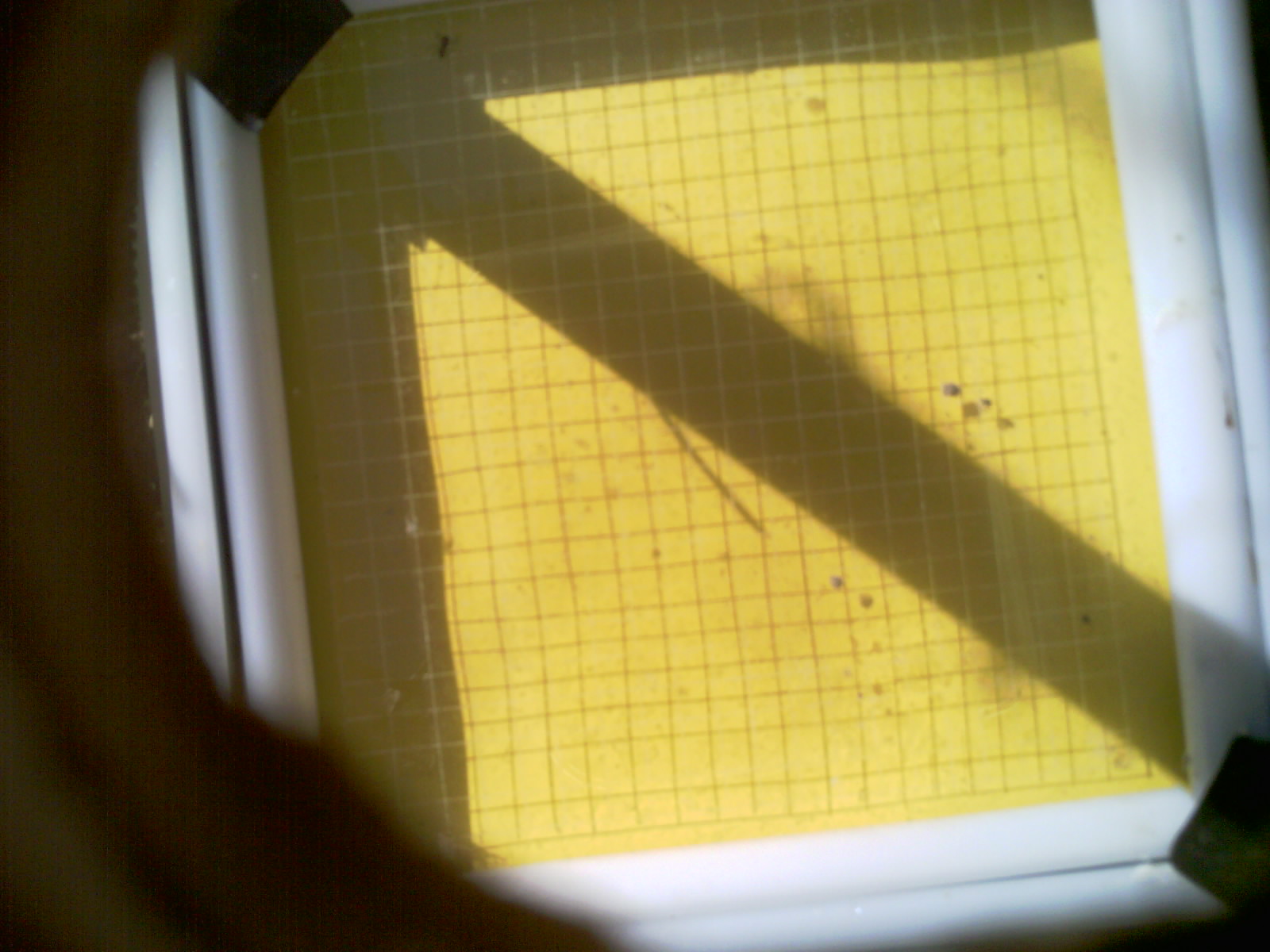 20260703_095305_UXGA_Q3.jpg